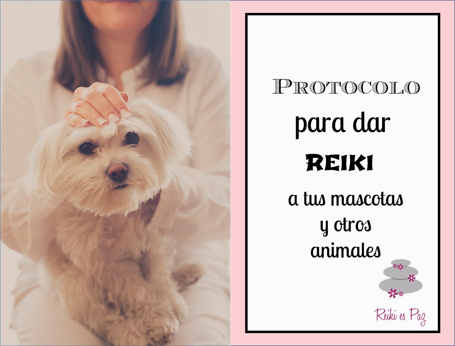 Protocolo para dar una sesión de Reiki a tu mascota (y demás animales)